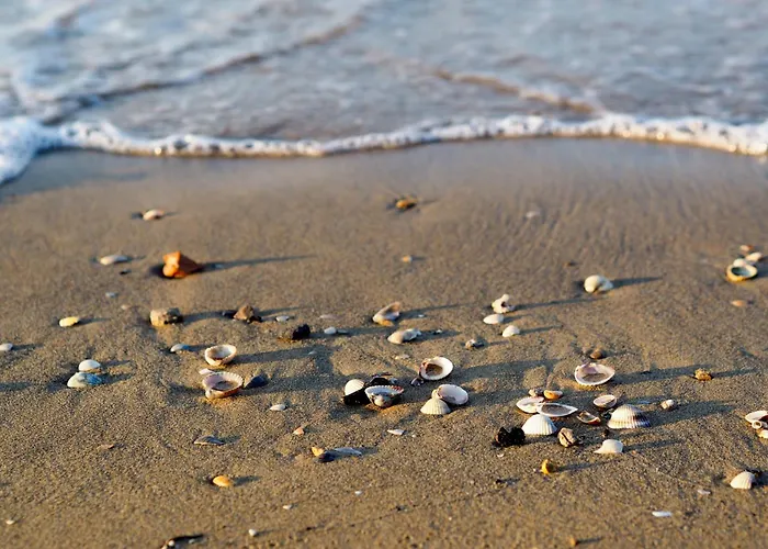 In 49968 * Bibione