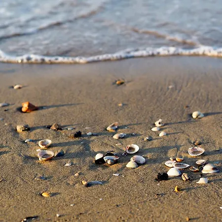 In 49968 * Bibione